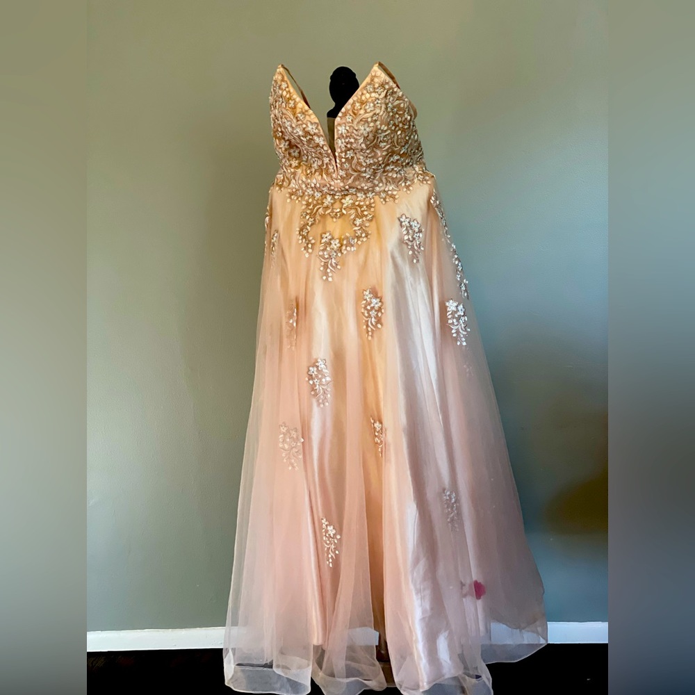 Camille La Vie boutique Tulle Ballgown with Floral Applique